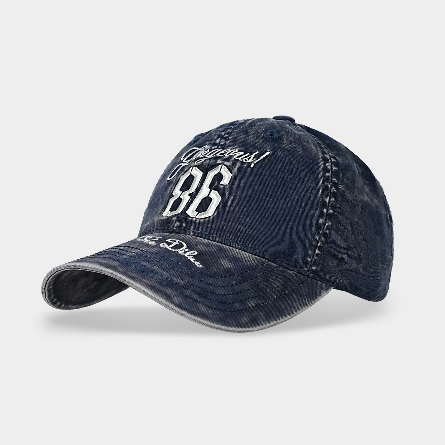 Vintage distressed baseball cap