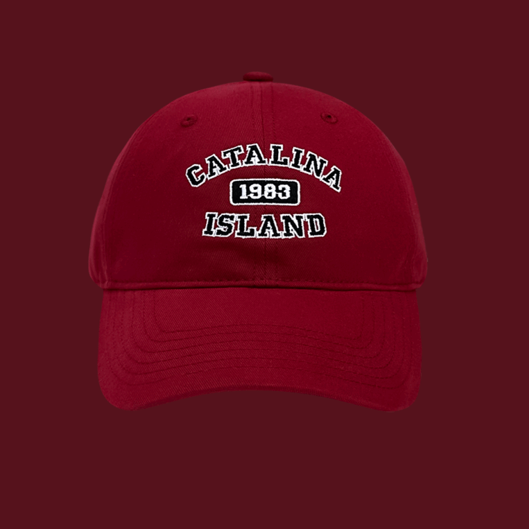 Retro workwear embroidered versatile baseball cap